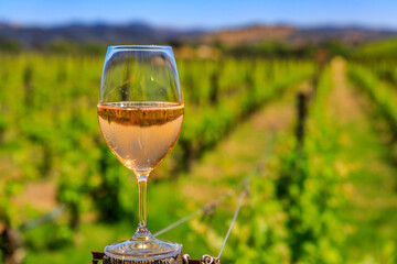 Glass of sparkling rose wine with a blurred view of grape vines in background at a vineyard in the spring in Napa Valley, California, USA