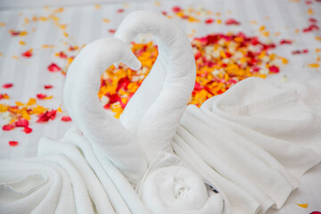 towel swan shape on bed