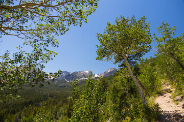 Bierstadt Lake Trail with blue sky and mountains in background in Rocky Mountain National Park, Colorado