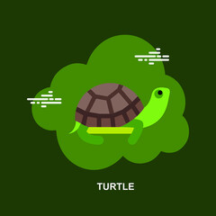 Turtle with brown shell and green body flat concept design
