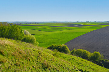 Poland landscape meadows view forest