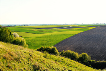 Poland landscape meadows view forest