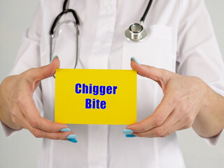 Medical concept about Chigger Bite with sign on the piece of paper.