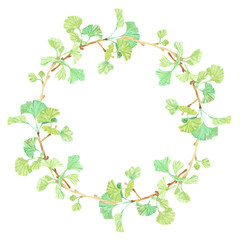 watercolor hand drawn ginkgo branch circle wreath frame