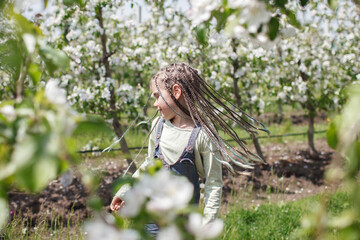 Naklejka na ściany i meble Pretty preteen girl walking in the blooming apple garden in spring, relax and freedom, beauty of nature. Happy kid enjoying flower blossom in fruit orchard at sunny day. Spring outdoor