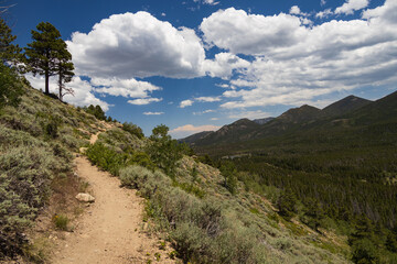 Bierstadt Lake Trail with blue sky and mountains in background in Rocky Mountain National Park, Colorado