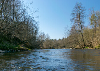 the banks of a small wild river in spring, bare trees, reflections in the water, a small wild river, Abuls river in Latvia