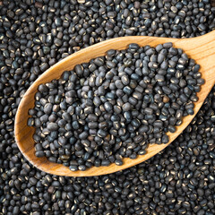 whole black urad beans in wooden spoon closeup