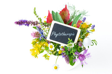 Phytotherapie - Kreidetafel mit vielen verschiedenen bunten Heilpflanzen freigestellt vor weißem...