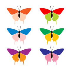 Colorful butterfly set isolated on white, vector illustration
