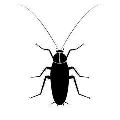 Cockroach insect icon, vector illustration 