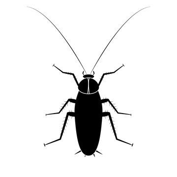 Cockroach insect icon, vector illustration 