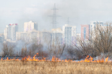 Burning vegetation in the meadows under the control of the fire department near the city - 433179445