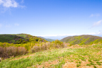 Fototapeta na wymiar Mountain landscape in Georgia. Landscape from Didgori road.