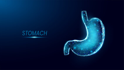 Fototapeta premium Human stomach. Wireframe low poly style. Concept for medical, treatment of the digestive system. Abstract modern 3d vector illustration on dark blue background.
