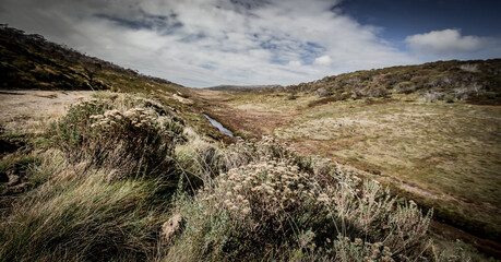 Kosciuszko National Park