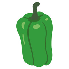 Bell Pepper green healthy organic nutrition product, whole. Vector cartoon flat trendy illustration hand drawn isolated