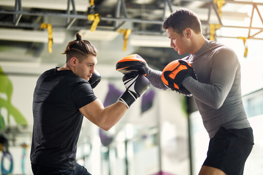 Boxing Training Images – Browse 227,324 Stock Photos, Vectors, and Video |  Adobe Stock
