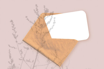 Natural light casts shadows from the plant on an envelope with a sheet of white paper lying on a pink textured background. Mockup