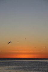 Fototapeta na wymiar Beautiful colours as the sun sets over the Pacific Ocean