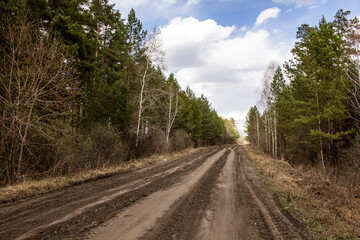 Fototapeta na wymiar Rural road through the forest. The dirt road is wide and well-groomed through the forest.