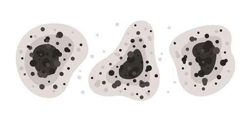 Black mold spots of different shapes. Black fungus of mucormycosis. Toxic mold spores. Fungi and bacteria. Stains on the house wall. Isolated vector illustration on white background.