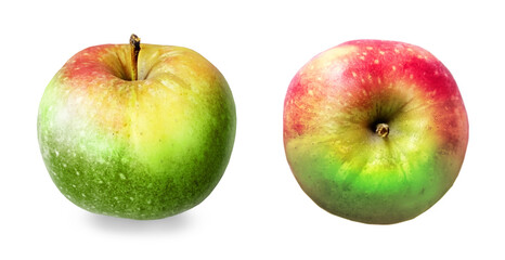 Color apples on white background
