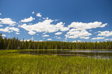 Naklejka premium Bierstadt Lake with blue sky and white clouds in background in Rocky Mountain National Park, Colorado