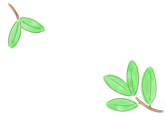 水彩で描いた葉