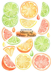 Slises citrus fruits