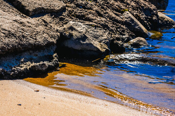 Nature in the spring in the suburbs of St. Petersburg