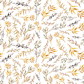 Seamless watercolor floral pattern with wheat spikelets and other dry grass hand drawn on a white background