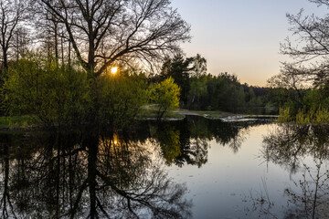 Spring landscape, river, bushes and trees. The evening sun illuminates the landscape. The rays of the setting sun.