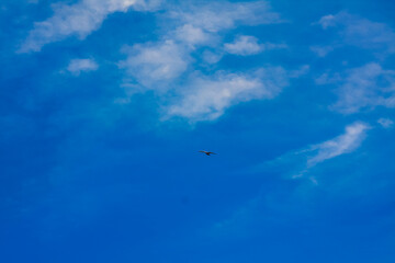 Nature in the spring in the suburbs of St. Petersburg