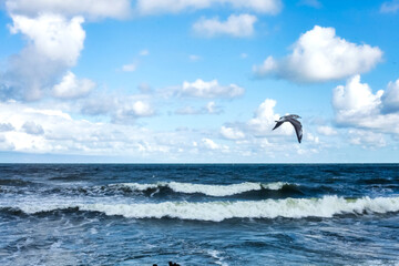 Fototapeta na wymiar Atmospheric scenery Dramatic Baltic sea, waves and water splashes