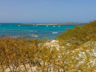 Obraz premium Tropical climate on Boa Vista Island, Cape Verde. Green bushes growing on a sand dune, boats floating in the marine of Atlantic Ocean. Selective focus on the horizon, blurred background.
