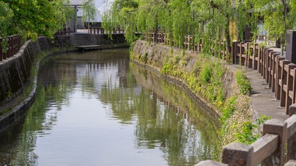 Fototapeta na wymiar 日本の観光名所。千葉県香取市佐原。柳の木と水路の風景。