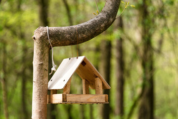 Birdhouse or bird feeder hanging on the tree in the park