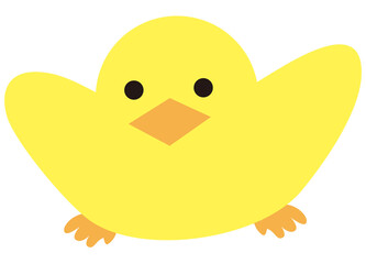 A little yellow bird facing the front