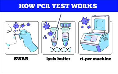 How COVID-19 or coronavirus swab test works vector illustration template poster. or icon.	