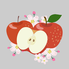 Hand draw red apple, Apple cut in half and apple blossom. Vector design illustration.
