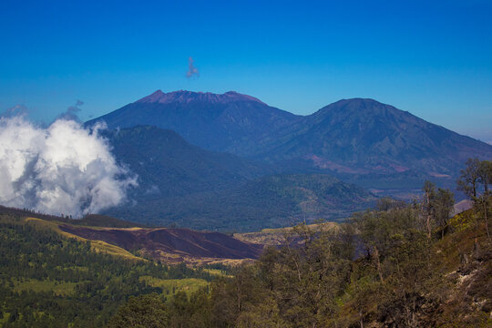 Raung Bilder Durchsuchen 370 Archivfotos, und Videos