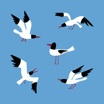 Vector set with seagulls in different poses isolated on a blue background. 