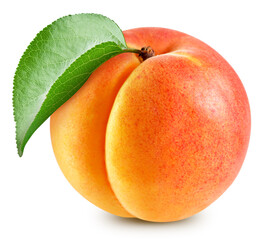 Apricot with apricot leaves isolated