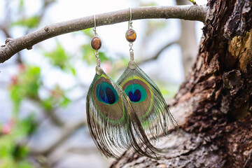 Peacock feather earrings with mineral bead hanging in nature