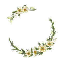 Spring, summer floral garlands of white-yellow anemone flowers. Delicate meadow wildflowers in round frame. Wedding invitation design. Watercolor hand painted isolated elements on white background.