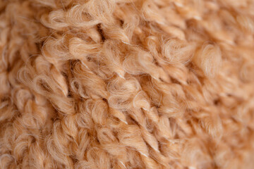 Background of beige merino wool