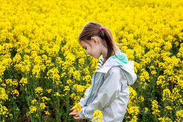 Close up view of a beautiful girl in a rapeseed field. A child in a blooming field with yellow flowers.