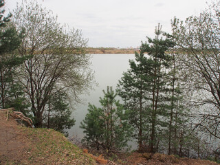 Spring landscape with pine trees and deciduous trees on the steep shore of the lake, against the background of a gloomy sky. Rural landscape, a beautiful place to relax.