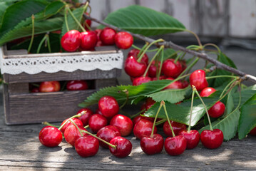 Cherries with leaves in vintage wooden box on rustic wooden table. Copy space
